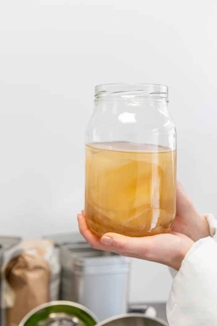 O mână ținând un borcan cu o cultură vie de kombucha în timpul fermentației